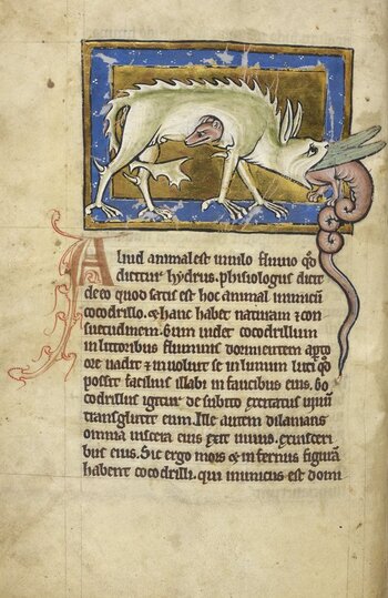 BLB S 2CXIXF BLB S 2CXIXF