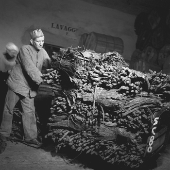 AIL S 000566 AIL S 000566