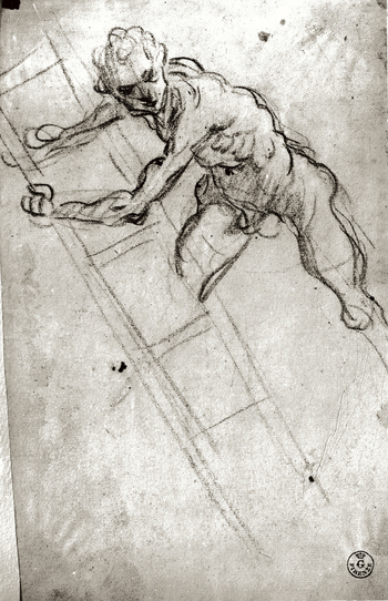 MAA F 012981