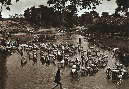 FCC A 000067 FCC A 000067