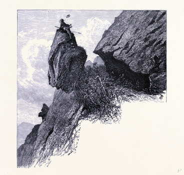LCA F 000134
