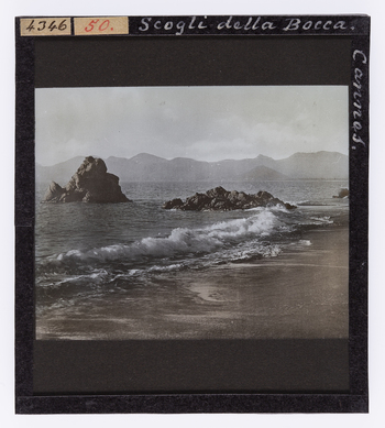 RGD S 000050 RGD S 000050