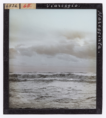 RGD S 000065 RGD S 000065