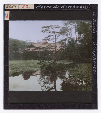 RGD S 000053 RGD S 000053