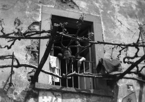 BVA S 000353 BVA S 000353