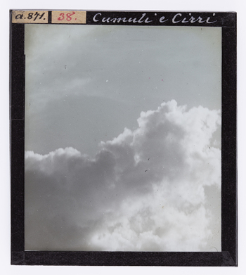 RGD S 000038 RGD S 000038