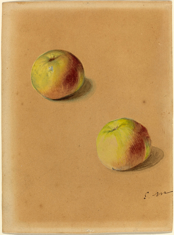 LCA F 004378