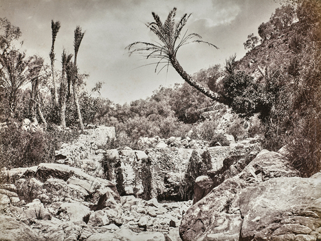 AVQ A 000439 AVQ A 000439