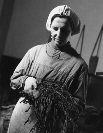 AIL S 000566 AIL S 000566