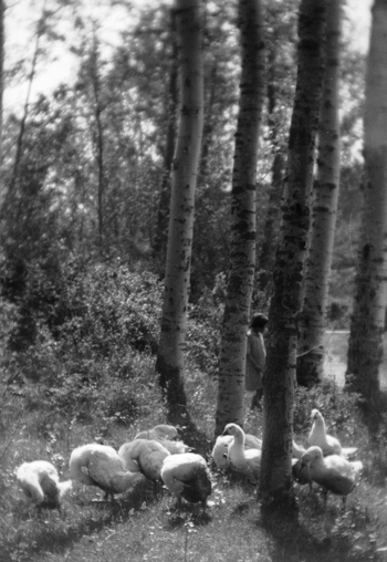 BVA S 000353 BVA S 000353