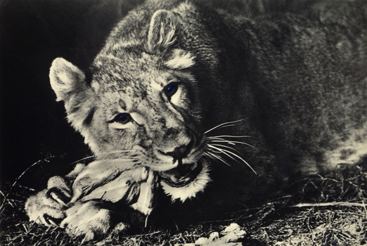 FCC A 000067 FCC A 000067