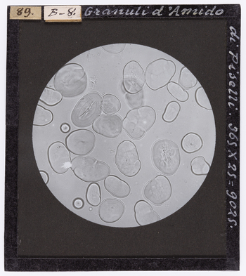 RGD S 0000B8 RGD S 0000B8