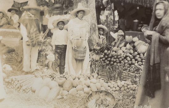 AVQ A 004052 AVQ A 004052