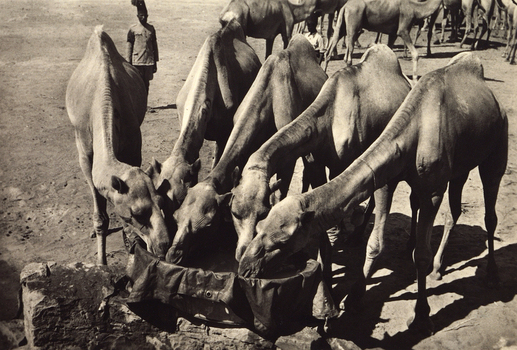 FCC A 000067 FCC A 000067