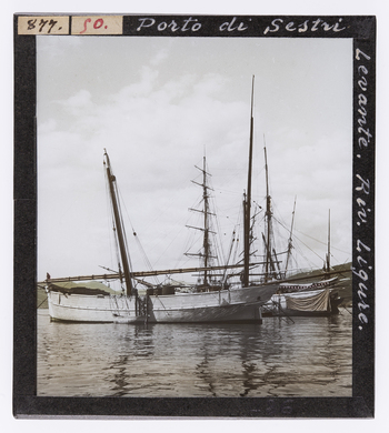 RGD S 000050 RGD S 000050