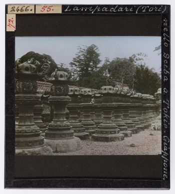 RGD S 000055 RGD S 000055