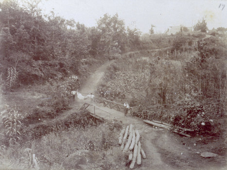 PDC S 003691 PDC S 003691