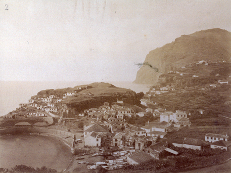 PDC S 003691 PDC S 003691