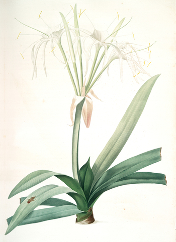 LCA F 001400