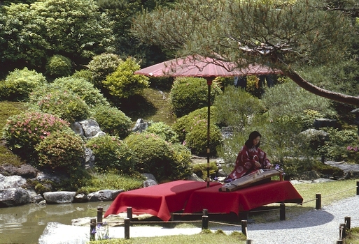 MFV S JPN369 MFV S JPN369