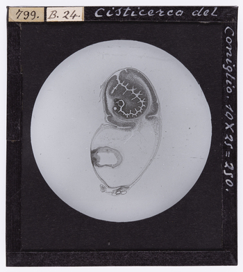 RGD S 000B24 RGD S 000B24