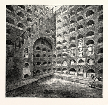 LCA F 000220