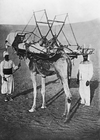 ULL S 000107 ULL S 000107