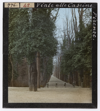 RGD S 000042 RGD S 000042