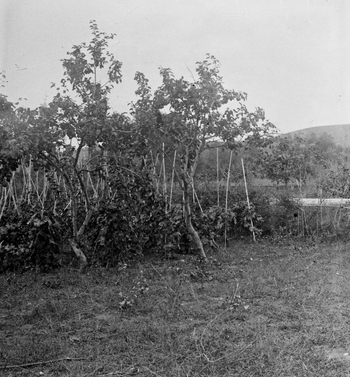 MFA S 0000II MFA S 0000II