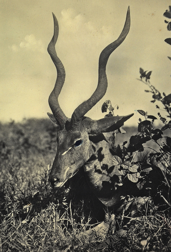 FCC A 000067 FCC A 000067