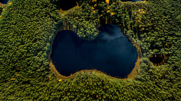 Aerial view of a dark forest lake surrounded by dense coniferous trees with hints of autumn foliage in Cesis Cesis Municipality Latvia. Aerial view of a dark forest lake surrounded by dense coniferous trees with hints of autumn foliage in Cesis Cesis Municipality Latvia.