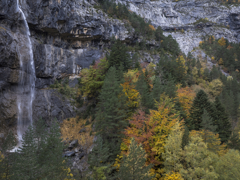 Aerial view of the Pyrenees mountains featuring a cascading waterfall surrounded by vibrant autumn foliage and steep rocky cliffs in Spain. Aerial view of the Pyrenees mountains featuring a cascading waterfall surrounded by vibrant autumn foliage and steep rocky cliffs in Spain.