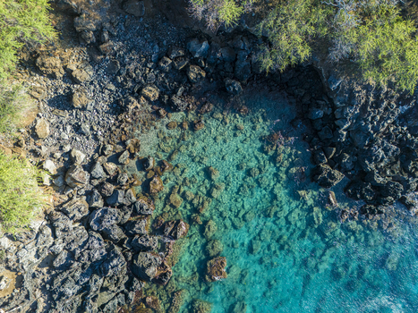 Aerial view of Mahukona Beach Park featuring turquoise water dark volcanic rocks and coastal vegetation along the shore in Waimea Hawaii United States.