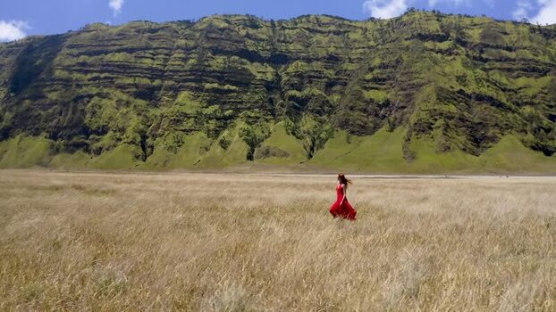 Aerial view of a woman in a red dress in a grassy field Indonesia.