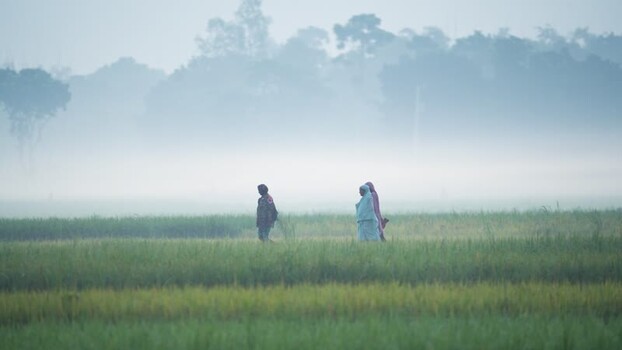 View of people walking through a misty field in Bogura Bangladesh.