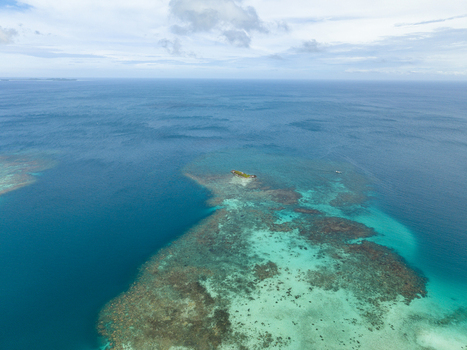 Aerial view of the vibrant turquoise waters embracing the Camar Rock Island reef a jewel amidst the vast ocean Jepara Regency Central Java Indonesia.