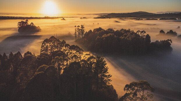 Aerial view of the misty landscape of Mamaku at sunrise with golden light illuminating the trees and fog covered fields in Mamaku New Zealand. Aerial view of the misty landscape of Mamaku at sunrise with golden light illuminating the trees and fog covered fields in Mamaku New Zealand.