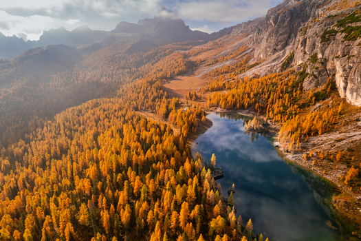 Aerial view of Lago Federa surrounded by vibrant golden larch trees and dramatic rocky mountain peaks in the Dolomites during autumn in Cortina d Ampezzo Veneto Italy. Aerial view of Lago Federa surrounded by vibrant golden larch trees and dramatic rocky mountain peaks in the Dolomites during autumn in Cortina d Ampezzo Veneto Italy.