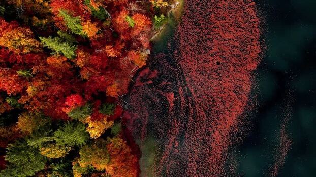 Aerial view of Attersee in autumn Austria.