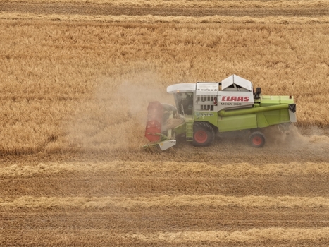 Dunapataj Hungary 11 August 2026 Aerial view of a Claas Mega 360 combine harvester working in a golden wheat field kicking up dust during the harvest season. Dunapataj Hungary 11 August 2026 Aerial view of a Claas Mega 360 combine harvester working in a golden wheat field kicking up dust during the harvest season.