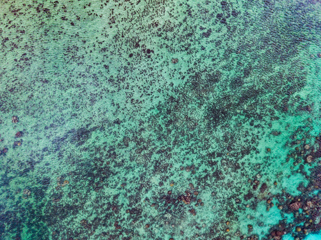 Aerial view of the sea floor s intricate patterns and vibrant turquoise waters a mesmerizing display of nature s artistry Victoria Mahe Island Seychelles. Aerial view of the sea floor s intricate patterns and vibrant turquoise waters a mesmerizing display of nature s artistry Victoria Mahe Island Seychelles.