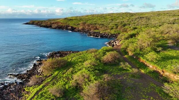 Aerial view of Mahukona Beach Park coastline United States.