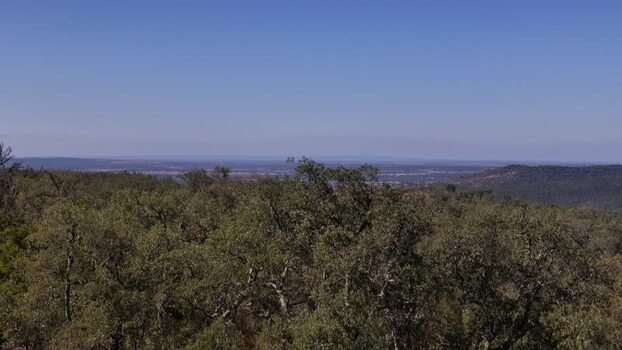 Aerial view of cork oak forest in Nossa Senhora de Guadalupe Portugal. Aerial view of cork oak forest in Nossa Senhora de Guadalupe Portugal.