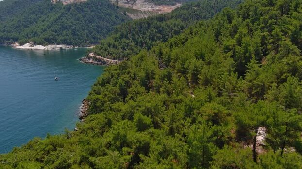 Aerial view of pine forest coastline in Thasos Greece. Aerial view of pine forest coastline in Thasos Greece.