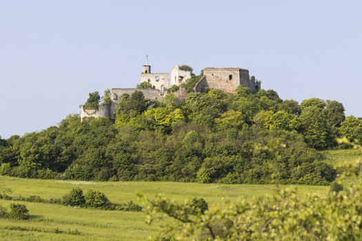 View of Falkenstein Castle standing in ruins atop a forested hill a fortress of old against the azure sky Falkenstein Castle Lower Austria Austria. View of Falkenstein Castle standing in ruins atop a forested hill a fortress of old against the azure sky Falkenstein Castle Lower Austria Austria.