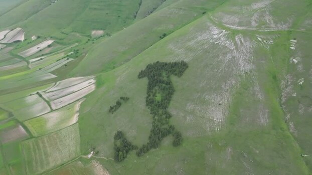 Aerial view of Italy shaped forest in Castelluccio Italy.