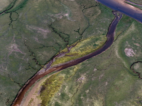 Aerial view of the winding river channels and green marshland of Findhorn Bay under soft daylight Findhorn Scotland United Kingdom. Aerial view of the winding river channels and green marshland of Findhorn Bay under soft daylight Findhorn Scotland United Kingdom.