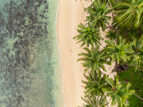 Aerial view of White Beach featuring turquoise water a sandy shoreline and lush palm trees in San Vicente Mimaropa Philippines.