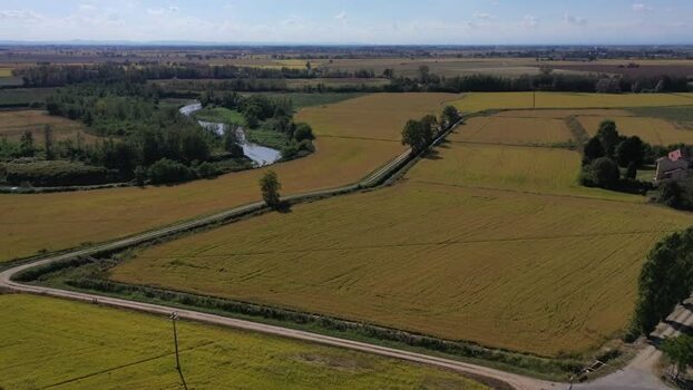 Aerial view of Agogna ricefields and river Italy.