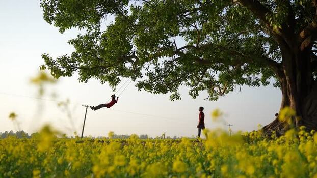 View of a boy on a swing under a large tree in Bogura Bangladesh. View of a boy on a swing under a large tree in Bogura Bangladesh.